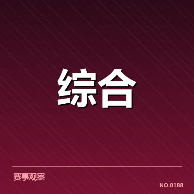已确认的决赛判罚事实及相关数据